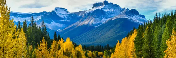 Canada investment immigration pathway for global investors and families